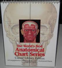 Details About The Worlds Best Anatomical Chart Series A Comprehensive Collection Of 48 Charts