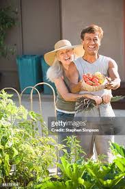 251 Stephen Lavender Stock Photos, High-Res Pictures, and Images