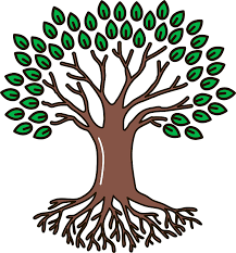 Explore the 39+ collection of tree of life clipart images at getdrawings. Tree Of Life Clipart Free Download Transparent Png Creazilla