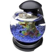 Secara umum terbuat dari bahan kaca float glass, tempered glass, dan laminated glass.selain ketiga jenis kaca tersebut, saat ini terdapat akuarium yang terbuat dari bahan lain tetapi dengan kelemahan yaitu dapat menjadi buram secara cepat. Model Dan Harga Aquarium Mini Terbaru Informasi Ikan Hias Air Tawar Dan Laut Ikanhiasku Net