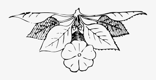 Art deco, is a visual arts design style that first appeared in france after world war i. Art Nouveau Ornament Art Deco Art Nouveau Ornaments Png Png Image Transparent Png Free Download On Seekpng