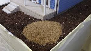 Locally owned by joseph and gloria lynn azzarello, we are a true louisiana pest control company — in business since 1969. Pest And Termite Control New Orleans Dial One Franklynn Pest Control