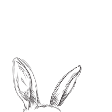 Animal sketches animal drawings cute drawings drawing animals drawing faces drawing techniques drawing tips drawing sketches drawing ideas. How To Draw Animal Ears Step By Step Guide