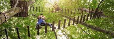 Opencontact And Go Ape Celebrate 10 Years In Partnership And Still Going Strong Opencontact