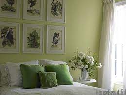 Pin On Flowers Plants