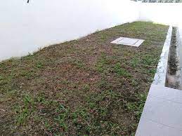 Bulan ni masih ada kekosonggan lg utuk bersihkan salamualaikum utk semua sesiapa nk.mesin rumput atau meracun cepat boking sebelum raya.wssp no ni.0174347636.nanti sy blas. Thelawn Garden Ini Adalah Proses Meracun Rumput Liar Yg Facebook