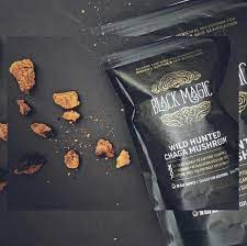 Sustainably Wild Harvested Chaga Mushroom Tea Mushroom Tea Chaga Mushroom Chaga Mushroom Tea