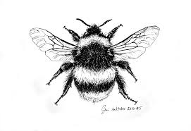 Black And White Striped Bee Like Insect Day 5 Of Inktober Inktober2016 Bee Bees Technicaldrawing Bee Tattoo Bee Drawing Bee Art