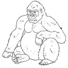 70920 Gorilla Coloring Pages 1 Gif 800 800 Zoo Coloring Pages Dolphin Coloring Pages Animal Coloring Pages