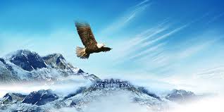 Image result for images mount up on eaglesâ€™ wings.