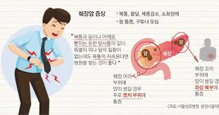 아밀라아제는 전체의 절반 정도가 7일 이내에 정상화된다. Wtfj90zhfa6bzm