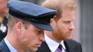 Prince William and Harry's frosty funeral 'reunion' detailed by vicar who  reveals exactly what happened