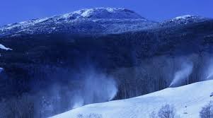 Image result for Mountain Brown 1934 Fleet