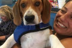 Petworks Member Minnie Park