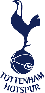This is a logo for manchester city f.c. Manchester City Logo Png Wiki