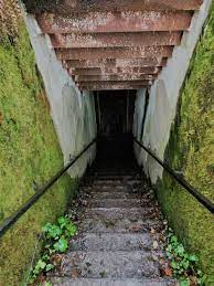 It is located near the town of węgorzewo (also known as angerburg in english and german). Mamerki Atrakcje Mazury