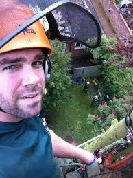 About Ayers Tree Services