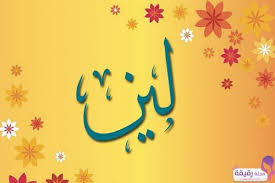 معنى اسم لين في اللغة وما حكم تسميته صفات حاملة اسم لين Baby Names Arabic Calligraphy