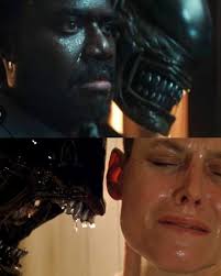 Did Kirch outsmart Morrow or not?