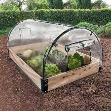Mini Serre Pour Tomates Dede Dans Son Jardin Garden Cloche Garden Veggie Garden