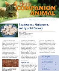 Hartz Companion Animal Roundworms Hookworms And Pyrantel