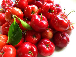 We did not find results for: Tropical Taste Of Hawaii The Awesome Acerola Cherry Hubpages
