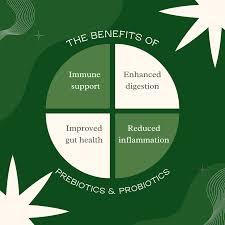 Prebiotics vs Probiotics: Benefits & Uses - AIFI, Inc.