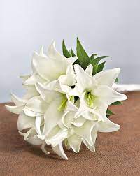 Check spelling or type a new query. Brautstrausse 1001 Ideen Brautstrauss Hochzeitsblumen Brautstrausse