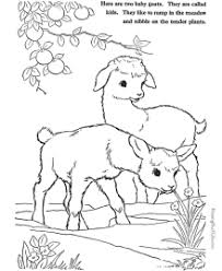 Download or print for children, 100 images. Farm Animal Coloring Pages