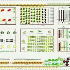 Vegetable Garden Fertilizer Chart Unique Best Gardening