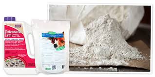 One has crystalline silica, which causes cancer. A Guide To Diatomaceous Earth And Its Uses Grange Co Op