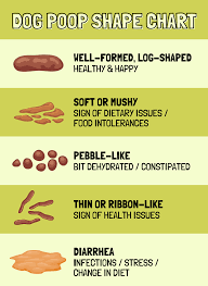 Image result for thin ribbon stools human poop