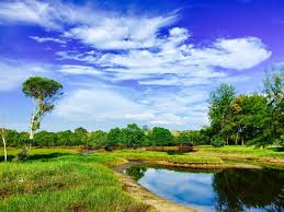 Merang suria resort ticket price, hours, address and reviews. Merang Suria Resort Home Facebook