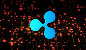 Both of them were into bitcoin previously, much like all other. Ripple Says Sec Is Wrong On The Facts And The Law In Response To Xrp Lawsuit The Daily Hodl