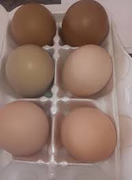 Instagram video by Nikki-Rick Brown • Apr 9, 2024 at 7:21 AM