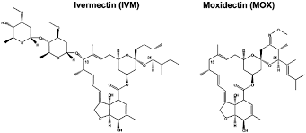 Image result for Moxidectin