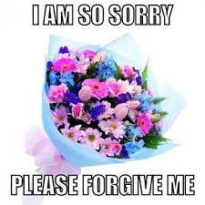 See more ideas about sorry quotes, im sorry quotes, sorry images. Sorry Meme Flowers Bouquet Send Flowers Online Online Flower Delivery