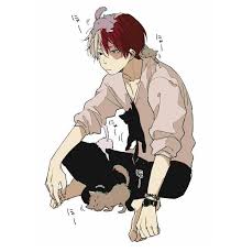Shouto Todoroki X Reader Oneshots Hero Boku No Hero Academia Anime
