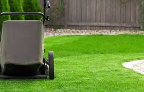 Find updated content daily for weekly lawn care cost Rwi7ghfbfdn8gm