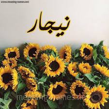 معنى اسم نيجار قاموس الأسماء و المعاني