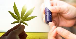 Maybe you would like to learn more about one of these? Uleiul Cbd Èi Diabetul Zaharat Cum AjutÄ Cbd La InsulinorezistenÈÄ