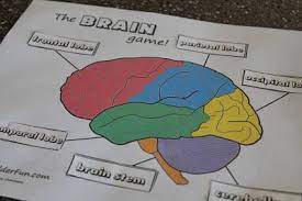 Check spelling or type a new query. Pin On Science