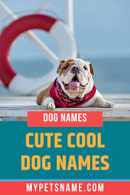Cute Cool Dog Names Dog Names Best Dog Names Cool Pet Names