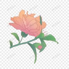More than 12 million free png images available for download. Bunga Raya Gambar Unduh Gratis Imej 401762673 Format Png My Lovepik Com