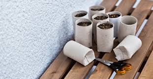 Wir zeigen euch, wie man schöne weihanchtssterne bastelt. 10 Choses Possibles Avec Des Rouleaux De Papier Toilette Download 800 418 Basteln Mit Papprollen 37arts Net