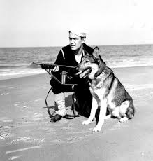 Gaelic, translates to faithful zhen: 60 Regal Names For Loyal Noble Female Guard Dogs Pethelpful
