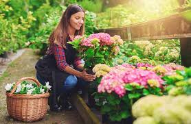 Primavara, gradina trebuie curatata, iar munca depusa pentru ca plantele tale sa ia forma pe care o doresti poate fi periculoasa uneori. Gradina Ta De Primavara Mod De Cultivare Si Sfaturi Tettu Ro