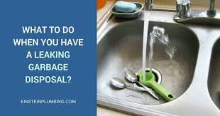 leaking garbage disposal