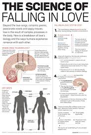The Chemistry Of Love Neurosains Psikologi Perkembangan Psikologi