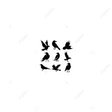 Vector Isolated Black Silhouette Bird Crow Collection Black Icons Collection Icons Silhouette Icons Png And Vector With Transparent Background For Free Downl Black Silhouette Silhouette Illustration Ink Brush